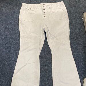 Judy Blue Jeans sz 22W Flare Fit